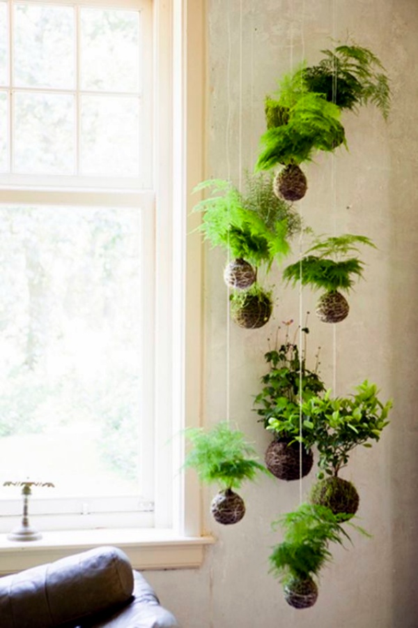 40 So Perfect Wall  Hanging Plant  Decor  Ideas 