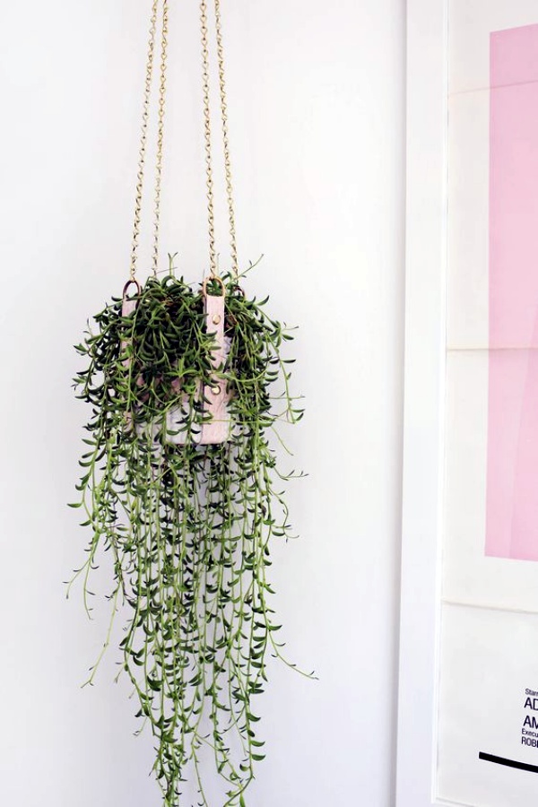 40 So Perfect Wall  Hanging  Plant  Decor  Ideas