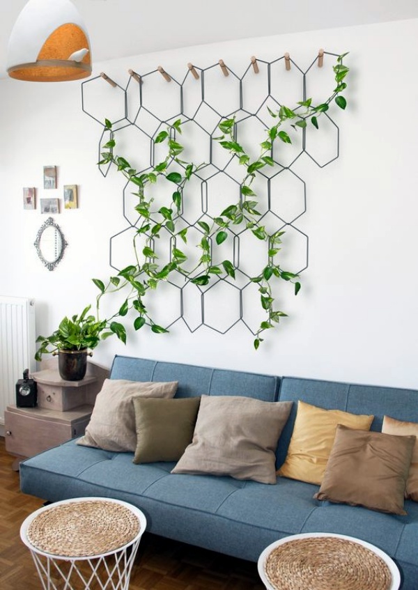 Perfect Wall Hanging Plant Decor Ideas