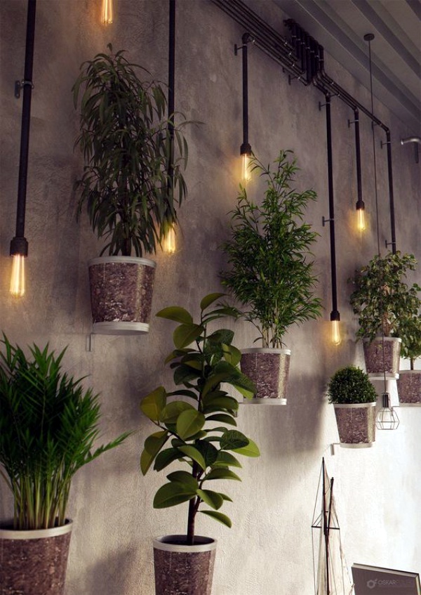 Perfect Wall Hanging Plant Decor Ideas - photofun4ucom