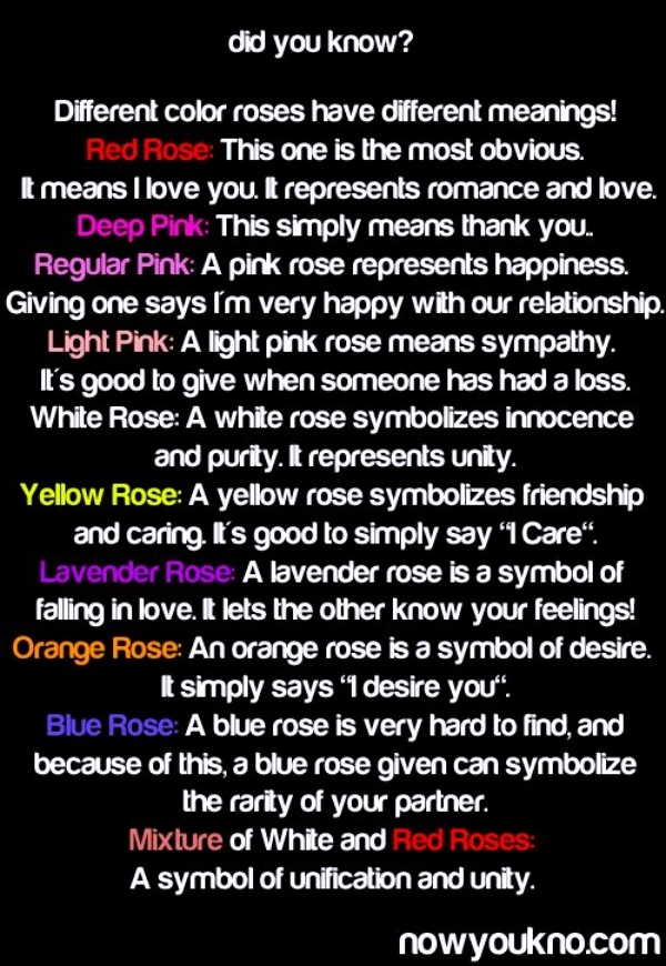 The-Real-Meaning-Of-The-Different-Rose-Colors