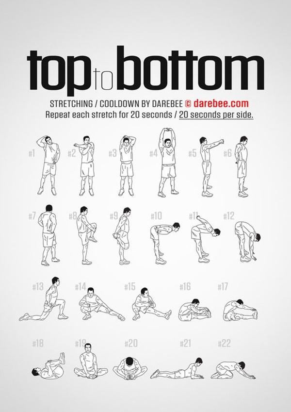 Basic Stretches Chart