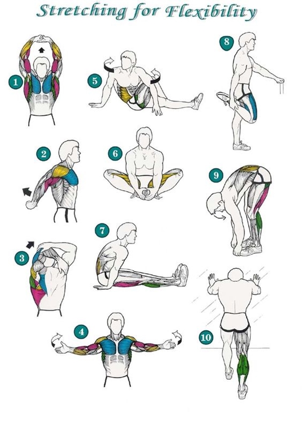 charts-post-workout-stretches-prevent-injuries