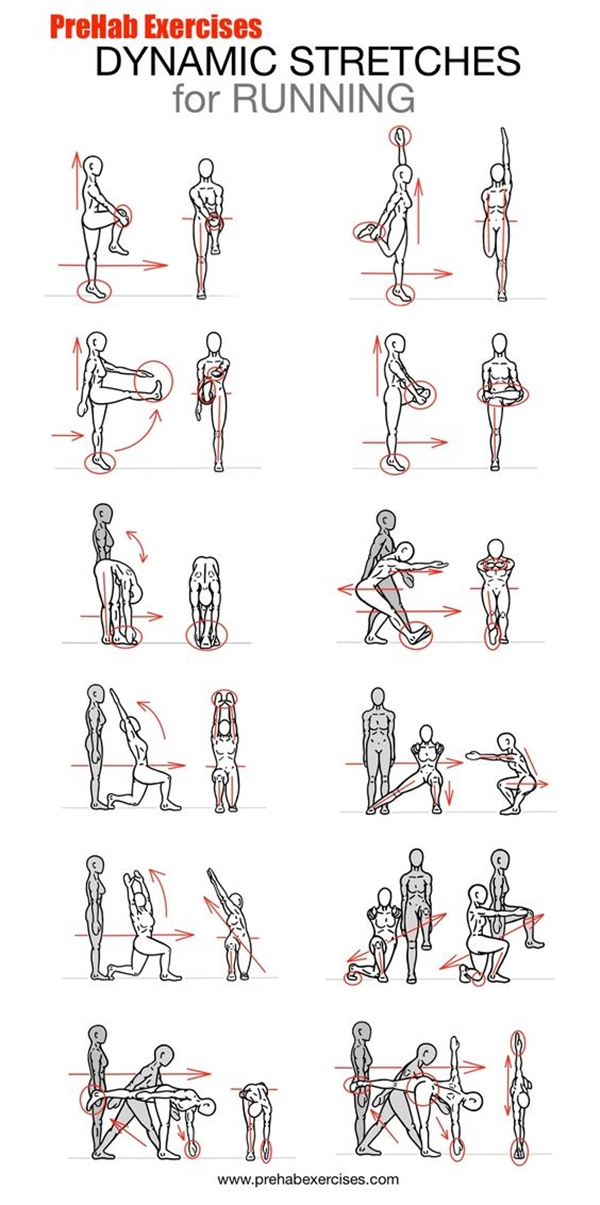 charts-post-workout-stretches-prevent-injuries