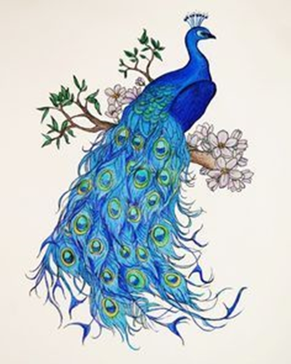 easy-peacock-painting-ideas-useful