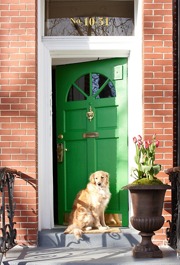 happily-installed-colorful-door-designs-yes-trend-back