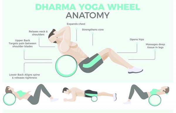 Selected Yoga Wheel Exercise Charts.