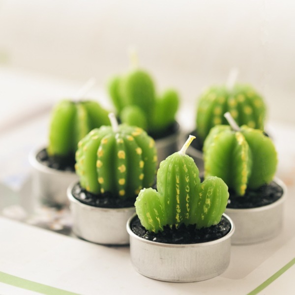 cactus decoration ideas