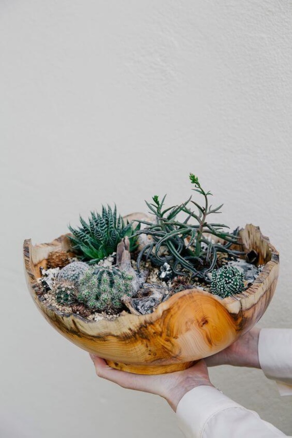 arresting-cactus-decoration-ideas