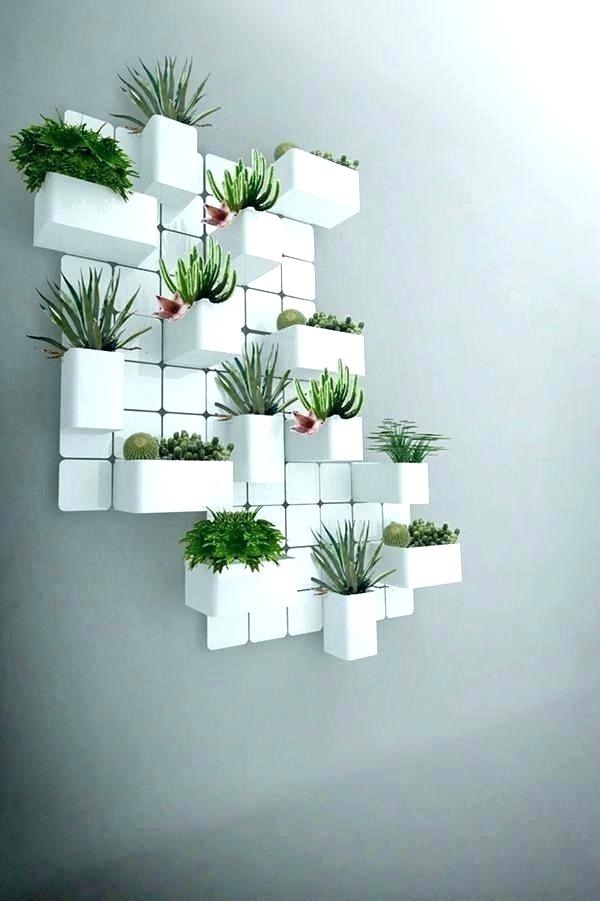 arresting-cactus-decoration-ideas