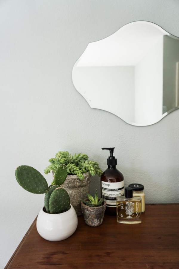 arresting-cactus-decoration-ideas
