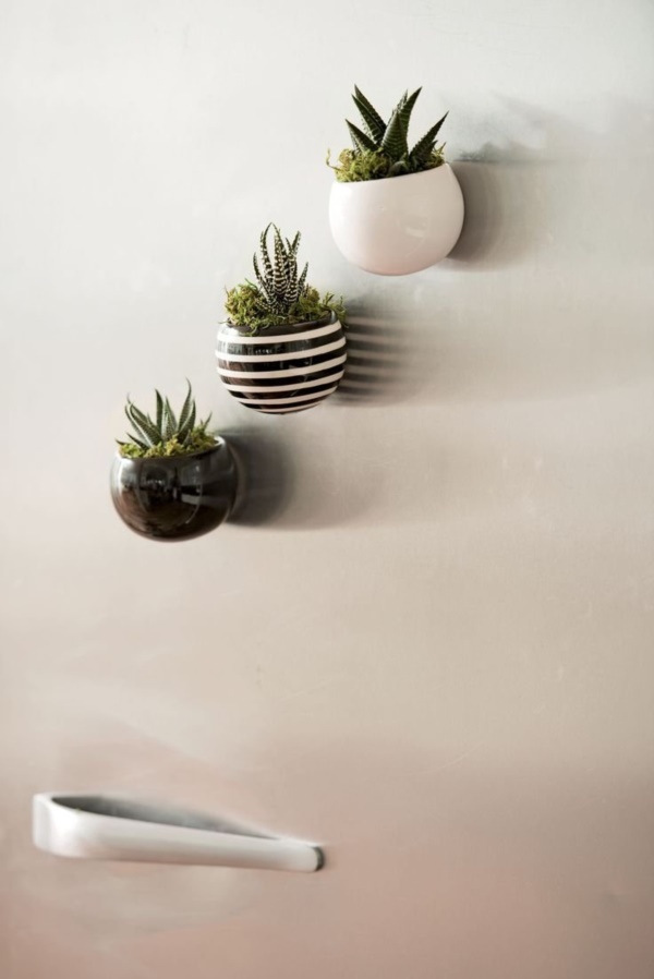 arresting-cactus-decoration-ideas