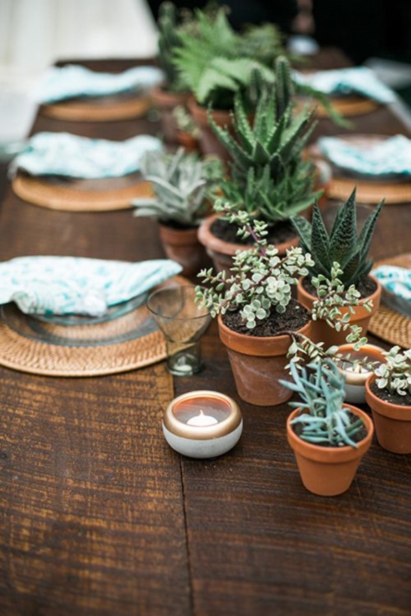 arresting-cactus-decoration-ideas
