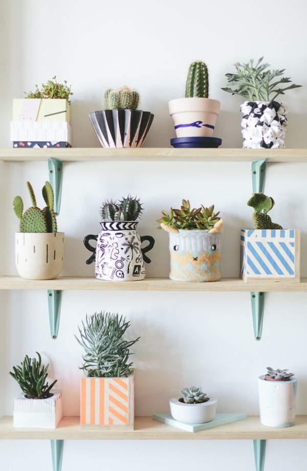 arresting-cactus-decoration-ideas