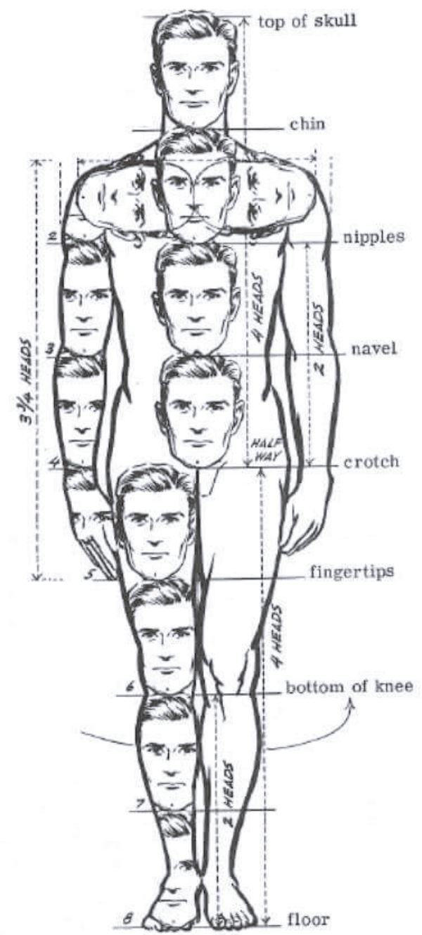 How To Draw Body Shapes Tutorials For Beginners Body - vrogue.co