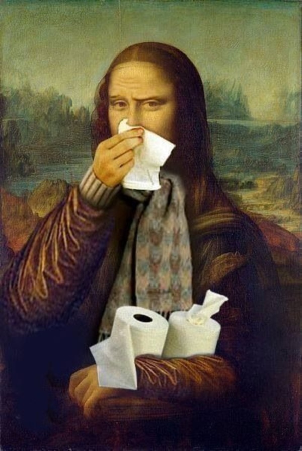 30-hilarious-monalisa-painting-upgradations