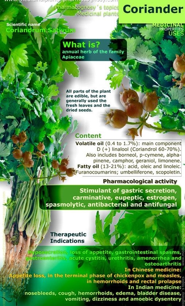 Needful-medicinal-plants-and-their-uses