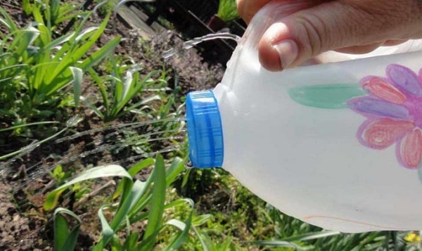 A Juice Bottle Watering Can