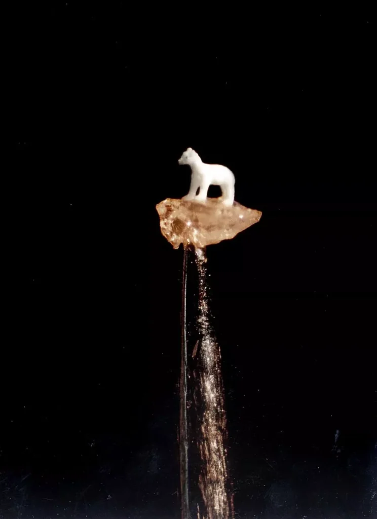 Micro-sculpture by Willard Wigan of a tiny white polar bear standing on a grain of brown sugar, balancing on the tip of a needle against a black background.